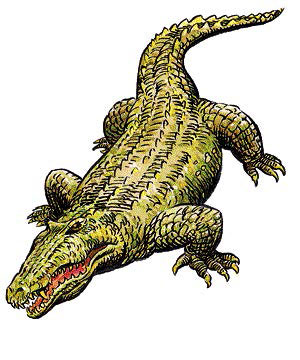 Крокодил (Crocodile) Крокодил (Crocodile)