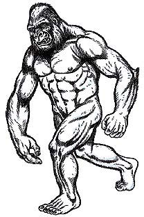 Йети (Yeti) Йети (Yeti)